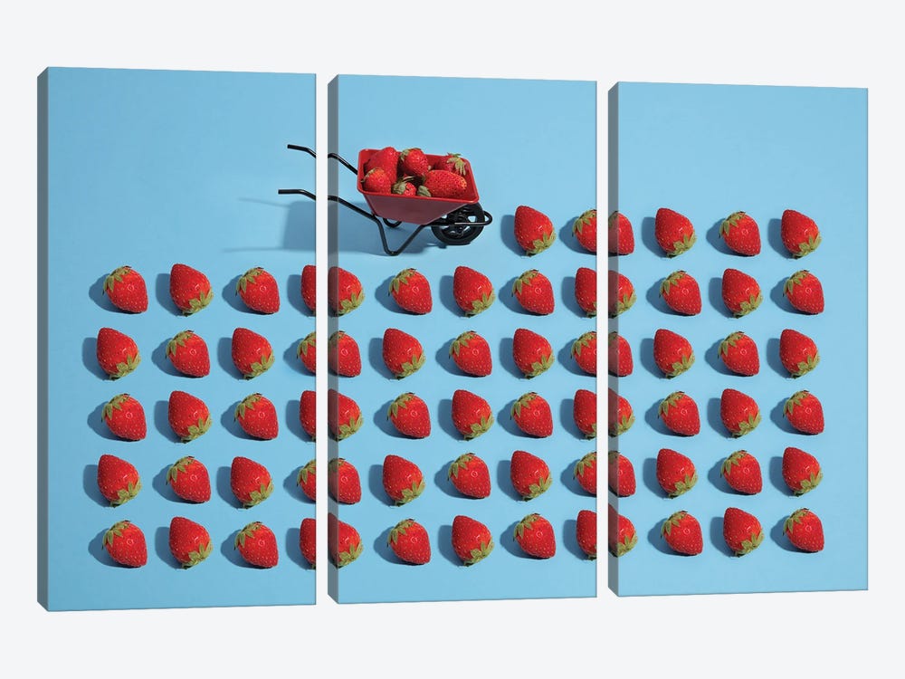 Strawberry Harvesting by Pepino de Mar 3-piece Canvas Art