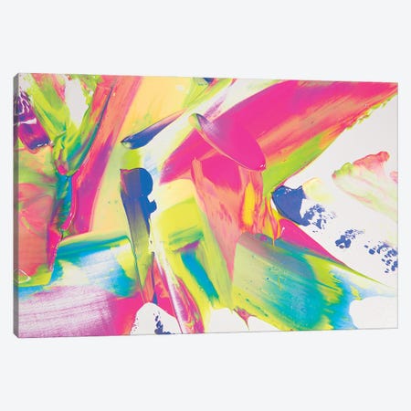 Abstract Paint Composition Nº1 Canvas Print #PPM211} by Pepino de Mar Canvas Art
