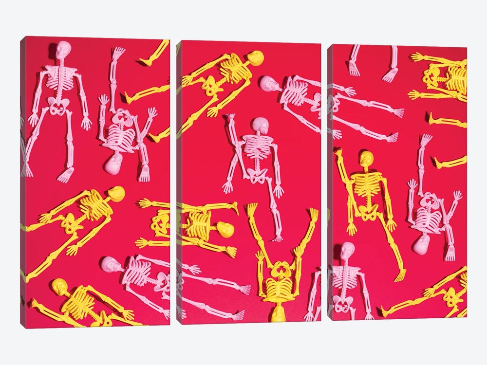 Skeleton Party by Pepino de Mar 3-piece Canvas Art