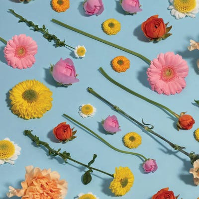 Flower Pattern by Pepino de Mar multi panel art