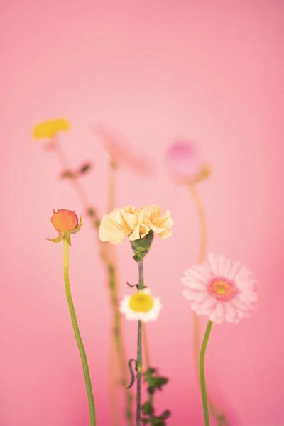 Pepino de Mar: Spring Vibes by Pepino de Mar