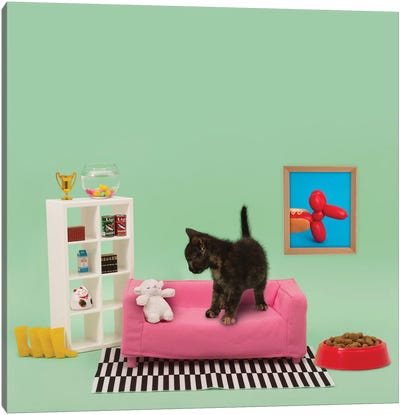 Kitty's Home Canvas Art Print - Pet Obsessed