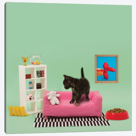 Kitty's Home Canvas Print #PPM34} by Pepino de Mar Art Print