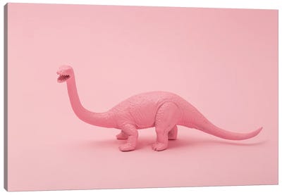 Pink Dino Canvas Art Print - Dinosaur Art