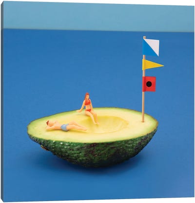 Avocado Boat Canvas Art Print