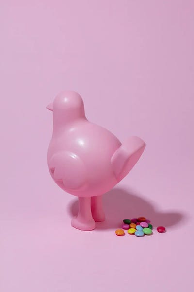 Monochromatic Photography: Bird Delights by Pepino de Mar