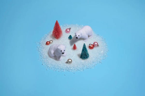 Naughty Or Nice: Arctic Holiday Gathering by Pepino de Mar