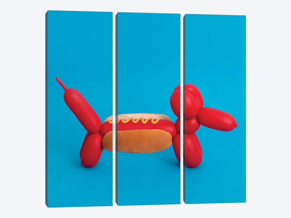 Balloon Hot Dog by Pepino de Mar 3-piece Canvas Artwork