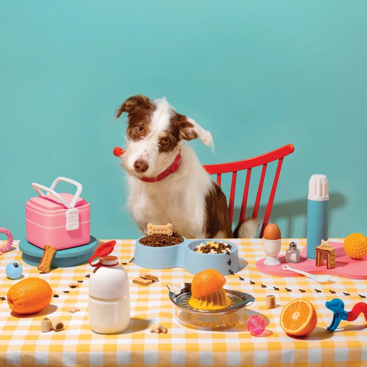 Colorful Dog Breakfast Setup by Pepino de Mar wall art