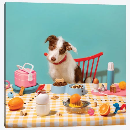 Colorful Dog Breakfast Setup Canvas Print #PPM495} by Pepino de Mar Canvas Print