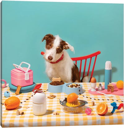 Colorful Dog Breakfast Setup Canvas Art Print