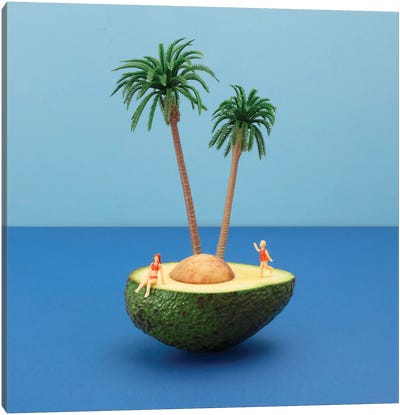 Avocado Island Canvas Art Print - Miniature Worlds