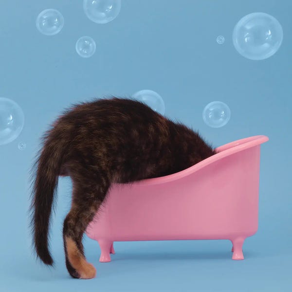 Bathroom Break: Bath Time by Pepino de Mar