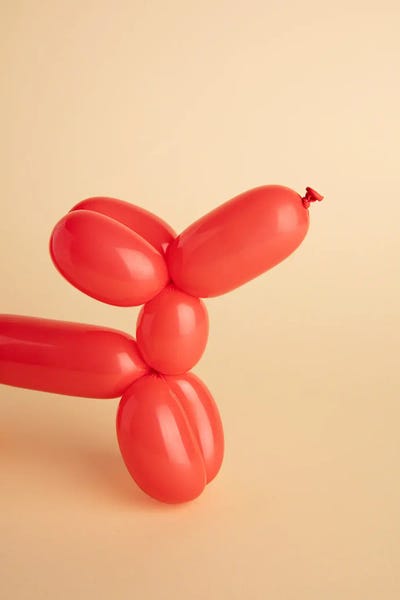 Dog Photography: Red Balloon Dog by Pepino de Mar