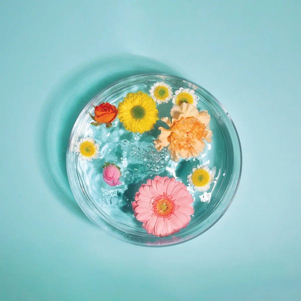 Still Life Photography: Spring Water by Pepino de Mar