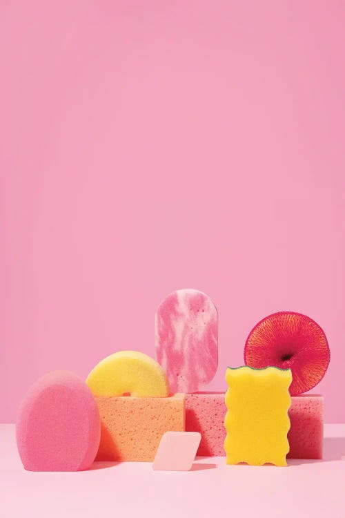 Pink Sponges I