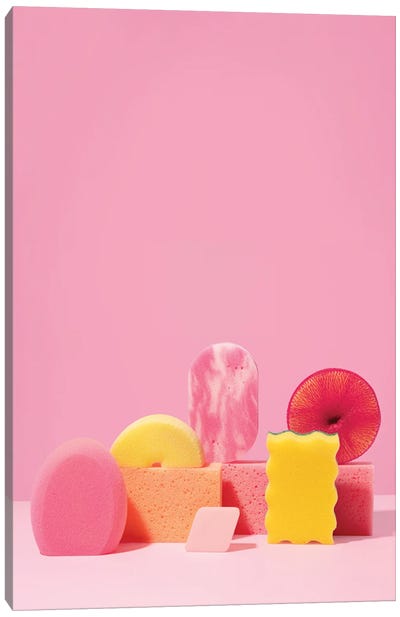 Pink Sponges I Canvas Art Print - Pepino de Mar