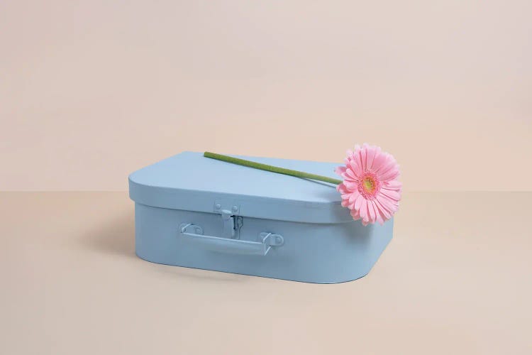 Blue Case With Pink Flower