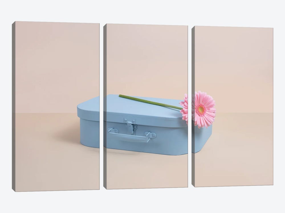 Blue Case With Pink Flower by Pepino de Mar 3-piece Canvas Wall Art