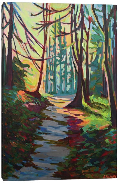 Follow The Path Canvas Art Print - Evergreen Tree Art