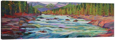 Force Of Nature Canvas Art Print - Canada Art