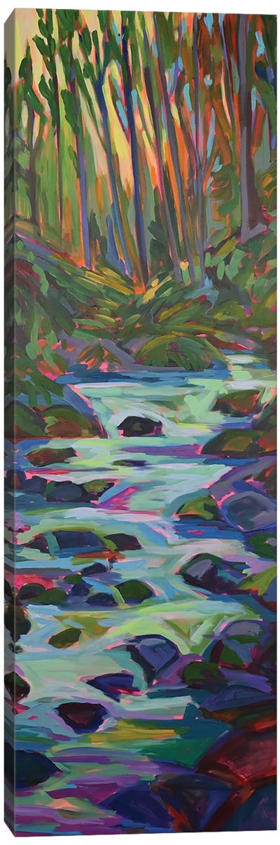 Forest Beauty Canvas Art Print - Canada Art