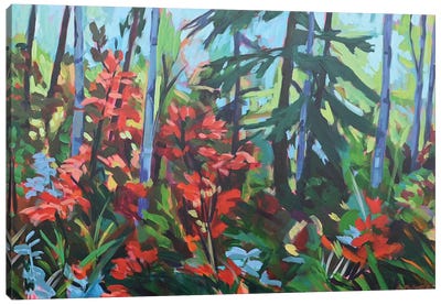 Forest Life Canvas Art Print - Alison Philpotts
