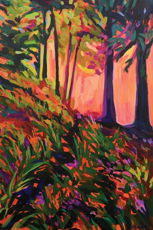 Forest Light by Alison Philpotts wall art