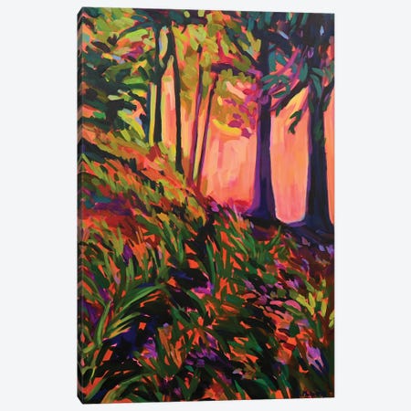 Forest Light Canvas Print #PPO16} by Alison Philpotts Art Print