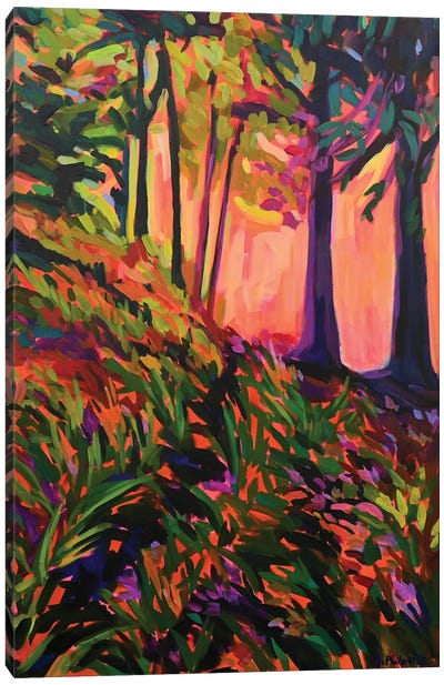 Forest Light Canvas Art Print - Pops of Pink
