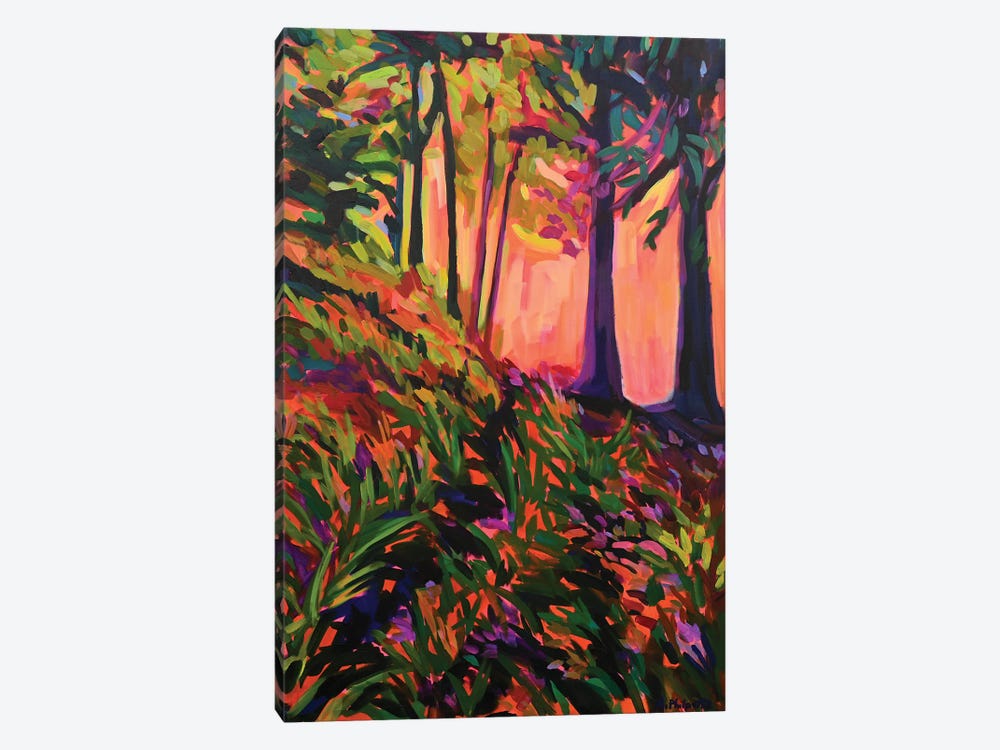 Forest Light by Alison Philpotts 1-piece Canvas Print