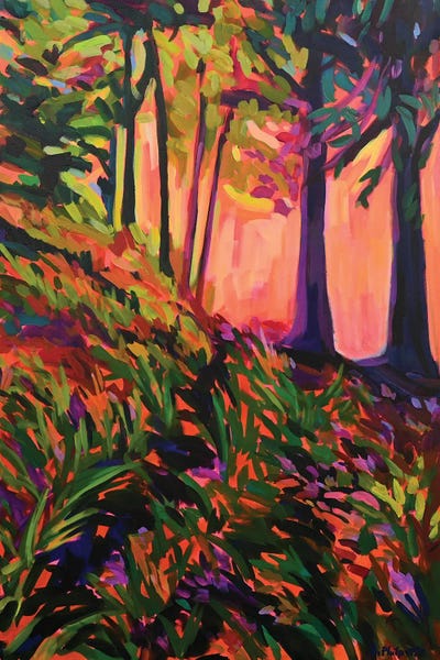 Pops Of Pink: Forest Light by Alison Philpotts