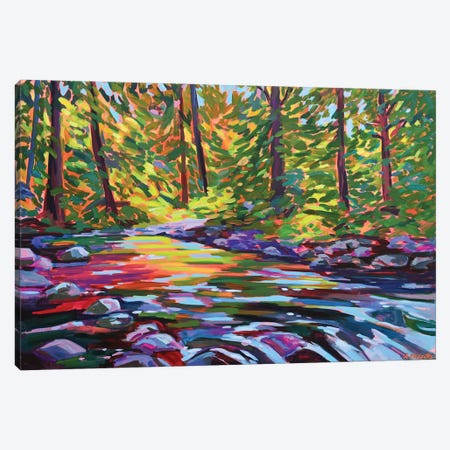 Forest Tranquility Canvas Print #PPO17} by Alison Philpotts Canvas Art Print