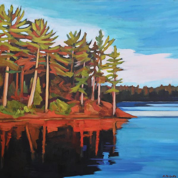 Evergreen Trees: Lake Country by Alison Philpotts