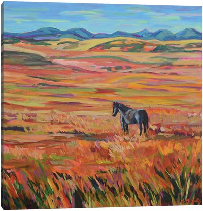 A Day Off At The Ranch Canvas Art Print - Wide Open Spaces