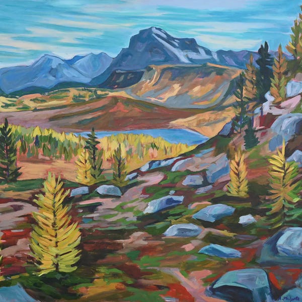 Alison Philpotts: Larch Country by Alison Philpotts