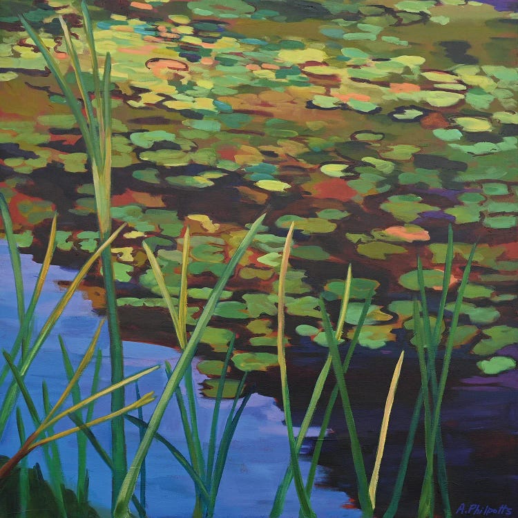 Pond Lilies by Alison Philpotts wall art