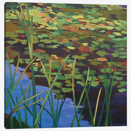 Pond Lilies Canvas Print #PPO28} by Alison Philpotts Art Print
