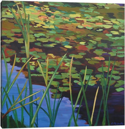 Pond Lilies Canvas Art Print - Alison Philpotts