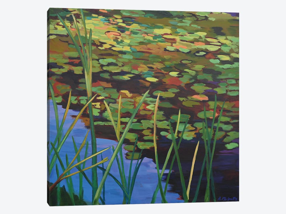 Pond Lilies by Alison Philpotts 1-piece Canvas Art