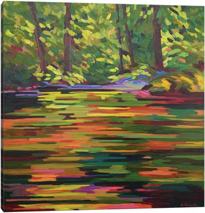 Pond Reflections Canvas Art Print - Alison Philpotts