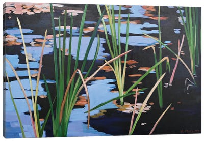 Pond Shadows Canvas Art Print - Alison Philpotts