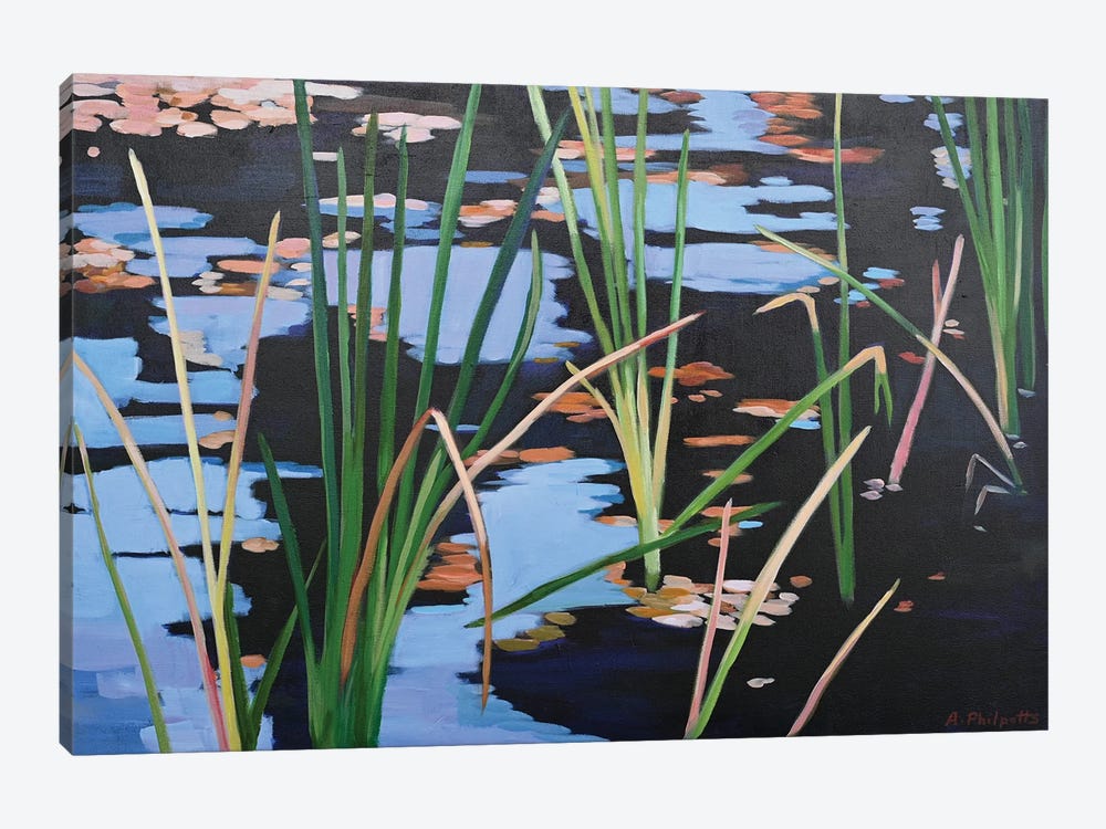 Pond Shadows by Alison Philpotts 1-piece Art Print
