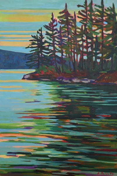Evergreen Trees: Reflections by Alison Philpotts
