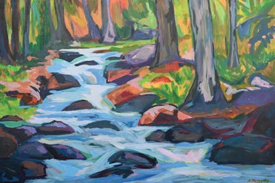 Sunlit Stream by Alison Philpotts acrylic art print