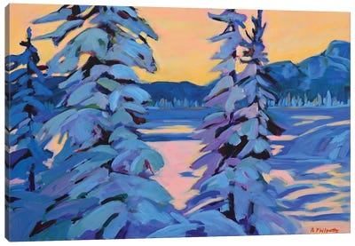 Winter Beauty Canvas Art Print - Alison Philpotts