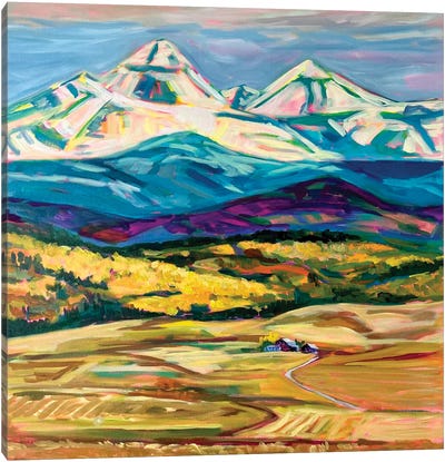 Foothills Ranch Canvas Art Print - Field, Grassland & Meadow Art