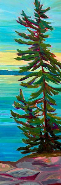 Pine Trees: On The Shore by Alison Philpotts