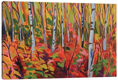 Birch Stand Canvas Art Print - Alison Philpotts