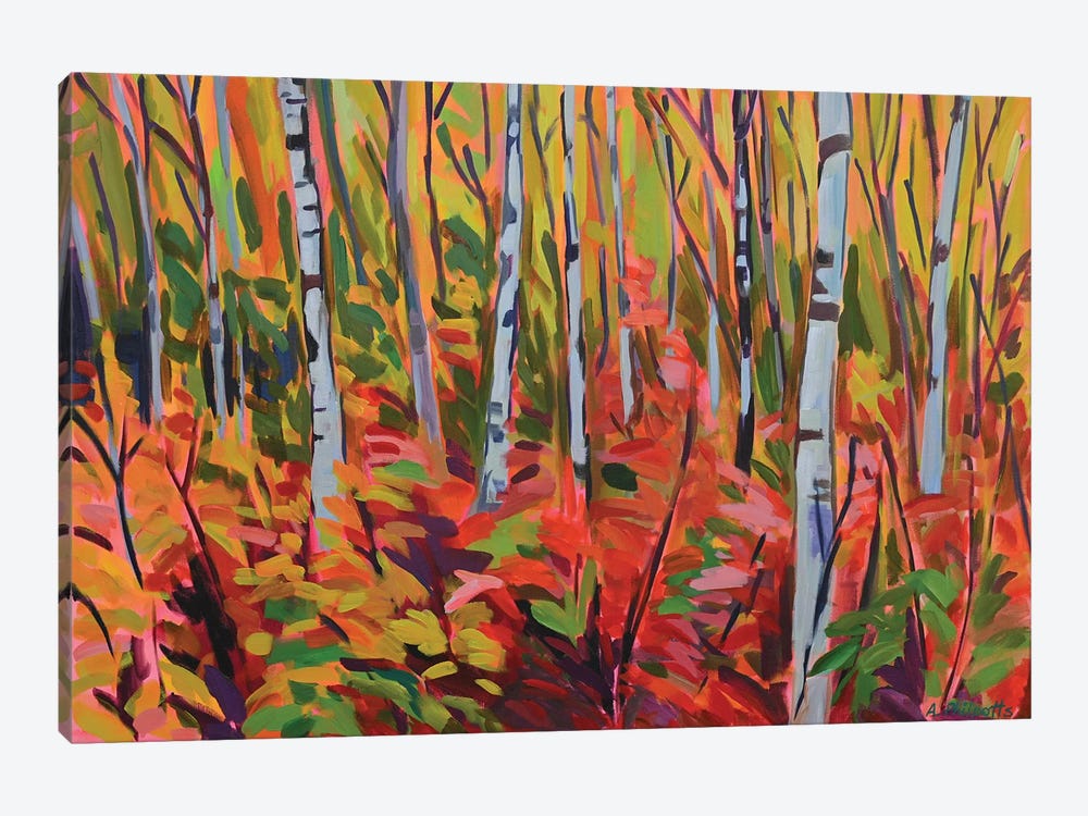 Birch Stand by Alison Philpotts 1-piece Canvas Art Print